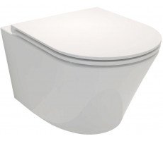 Унитаз подвесной Rodin Jacob Delafon EDY102-00 Унитаз подвесной Rodin Jacob Delafon EDY102-00