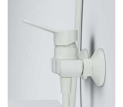 Смеситель для душа AM.PM X-Joy F85A20033 Белый 