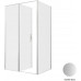 Душевой уголок Allen Brau Priority 120x90 3.31032.BA + 3.31044.BA серебро браш 