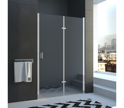 Душевая дверь Veconi Vianno VN-42, 1000x1950, хром, стекло прозрачное VN42-100-01-19C1 