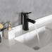 Смеситель для раковины Gid Berlin SS080-BM-K SS080BMK черный матовый 