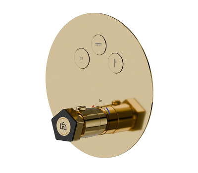 Смеситель для душа термостат Newform ParkLE 70440E.62.093 Золото 