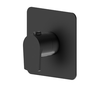 Смеситель для душа термостат Newform Haka 67691E.01.093 Черный матовый 