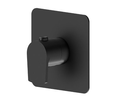 Смеситель для душа термостат Newform Haka 67691E.01.093 Черный матовый 