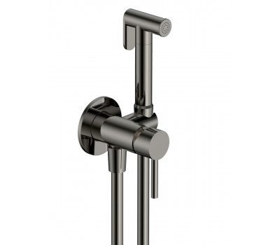Комплект: cмеситель с гигиеническим душем AQUAme Siena AQM6217GM Металл 