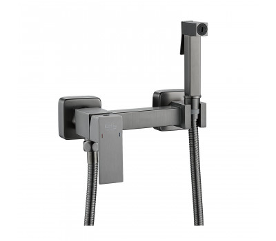 Гигиенический душ со смесителем Raffine F237T, оружейная сталь