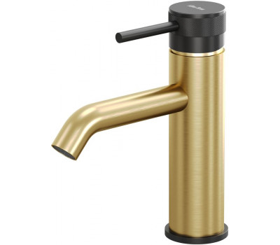 Смеситель для раковины Allen Brau Priority 5.31A01-GB31 черный/золото 