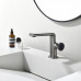 Смеситель для раковины Black&White GF-7207-GM 