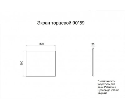 Экран торцевой 90*59 Triton Щ0000050934 Экран торцевой 90*59 Triton Щ0000050934