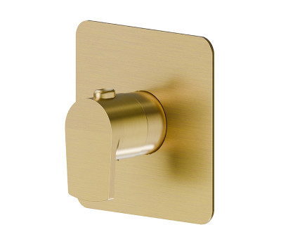 Смеситель для душа термостат Newform Haka 67691E.59.097 Золото 