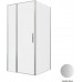 Душевой уголок Allen Brau Priority 100x100 3.31029.BA + 3.31047.BA серебро браш 
