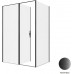 Душевой уголок Allen Brau Priority 140x100 3.31036.BBA + 3.31048.BBA черный браш 
