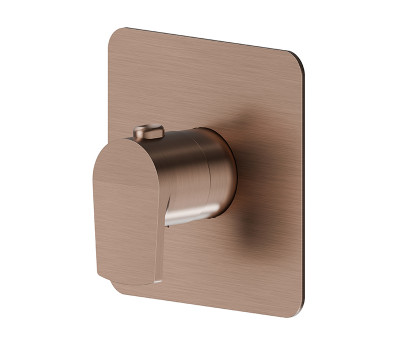 Смеситель для душа термостат Newform Haka 67691E.59.067 Медь 