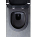 Унитаз подвесной Allen Brau Priority 4.31001.31 черный матовый Унитаз подвесной Allen Brau Priority 4.31001.31 черный матовый