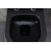 Унитаз подвесной Allen Brau Priority 4.31001.31 черный матовый Унитаз подвесной Allen Brau Priority 4.31001.31 черный матовый