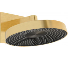 Верхний душ Allen Brau Eclipse 5.E1019-GB золото браш/черный 