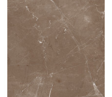 Плитка керамогранитная AZARIO ESSENS CHOCO 60х60 High Glossy E112082160HG 