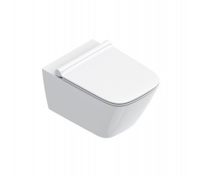 Унитаз подвесной 55x37, безободковый, смыв Tornado, покрытие Cataglaze+ Catalano Green 0411550001 белый Унитаз подвесной 55x37, безободковый, смыв Tornado, покрытие Cataglaze+ Catalano Green 0411550001 белый