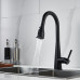 Смеситель для кухни с выдвижным изливом Shevanik S363H, черный