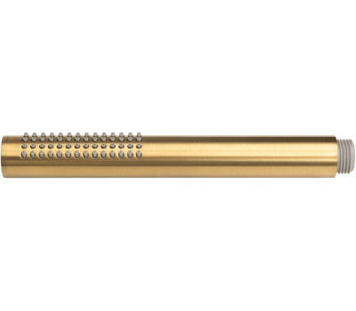 Душевая лейка Allen Brau Priority 5.31020-GB золото браш 