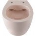 Подвесной унитаз Allen Brau Fantasy 4.11004.SM розовый 