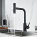 Смеситель для кухни с мультифункциональным изливом Raffine F203H, черный