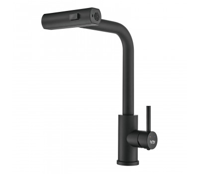 Смеситель для кухни с мультифункциональным изливом Raffine F203H, черный