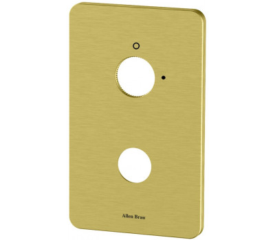 Накладка для смесителя Allen Brau Priority 5.3U1ХХ-GB 1 ход, золото браш 