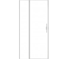 Душевая дверь Allen Brau Priority 100 3.31029.BA серебро браш 