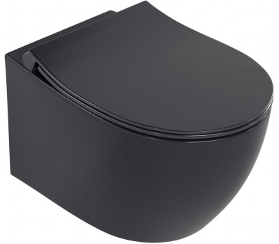 Унитаз подвесной Allen Brau Fantasy 3 Vortex 4.11035.AN антрацит 
