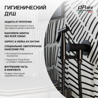 Смеситель с гигиеническим душем PAINI Isola встраиваемый, черный брашированный PVD (PZ) ISPZ442 