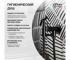 Смеситель с гигиеническим душем PAINI Isola встраиваемый, черный брашированный PVD (PZ) ISPZ442 