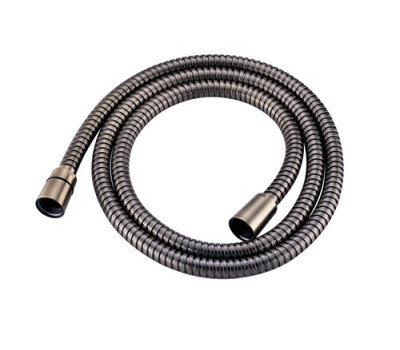 Шланг WasserKRAFT Exter 1600 A052 Светлая бронза 