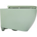 Унитаз подвесной Allen Brau Reality 4.32015.MT мятный 
