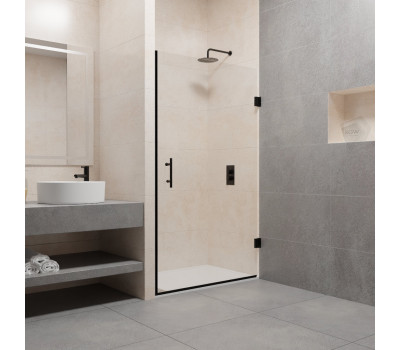 Душевая дверь 80 см RGW PA-06B Passage 41080608-14 Черный 