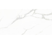 Плитка керамогранитная Creo Ceramique WHITE CARARRA 60х120 Glossy GJT612670 