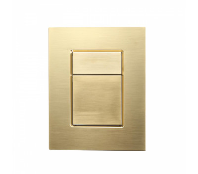 Кнопка смыва для инсталляции пневматическая WONZON & WOGHAND, Брашированное золото WW-IB256-BG  Кнопка смыва для инсталляции пневматическая WONZON & WOGHAND, Брашированное золото WW-IB256-BG