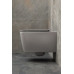 Унитаз подвесной Allen Brau Liberty 4.33007.AN антрацит 