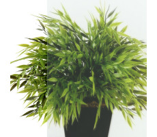 Душевая ширма Терра-Голд, 120х90, прямоугольник Triton Щ0000073934 