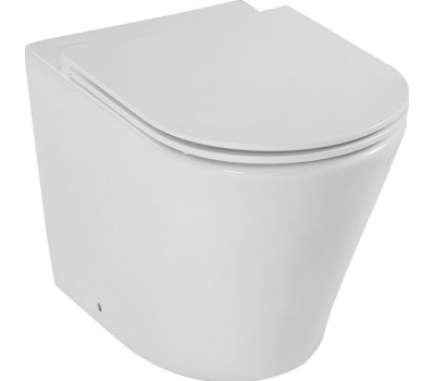 Приставной унитаз Rodin+ со стандартным ободом Jacob Delafon EDAA102-00 