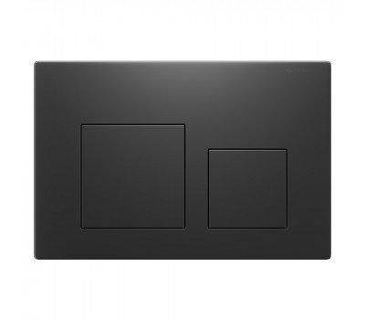 Клавиша смыва Terminus 82K24х16V, вороненая сталь 