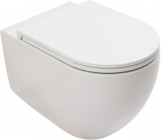 Унитаз подвесной Allen Brau Reality 4.32015.21 белый матовый 