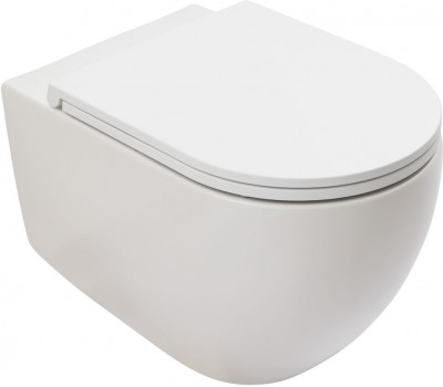 Унитаз подвесной Allen Brau Reality 4.32015.21 белый матовый 