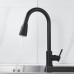 Смеситель для кухни с выдвижным изливом Raffine F213H, черный
