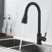 Смеситель для кухни с выдвижным изливом Raffine F213H, черный