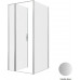 Душевой уголок Allen Brau Priority 90x100 3.31026.BA + 3.31047.BA серебро браш 