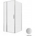 Душевой уголок Allen Brau Priority 90x100 3.31026.BA + 3.31047.BA серебро браш 