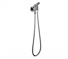 Смеситель с гигиеническим душем Bravat Eler, хром D9137CP-RUS Хром 