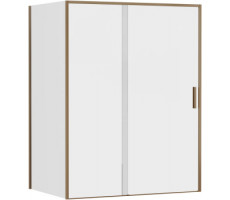 Душевой уголок Aquanet Pleasure Evo 150x100 AE65-150x100-GBT профиль золото-никель браш, прозрачное стекло 