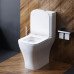 Унитаз-компакт безободковый с сиденьем микролифт Damixa Titan DX78C8600SC Белый 